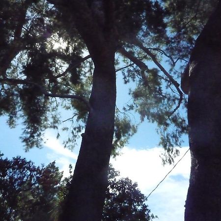 Woodland Hills Calabasas Guesthouses Los Angeles Luaran gambar