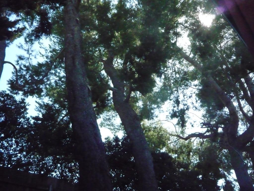 Woodland Hills Calabasas Guesthouses Los Angeles Luaran gambar