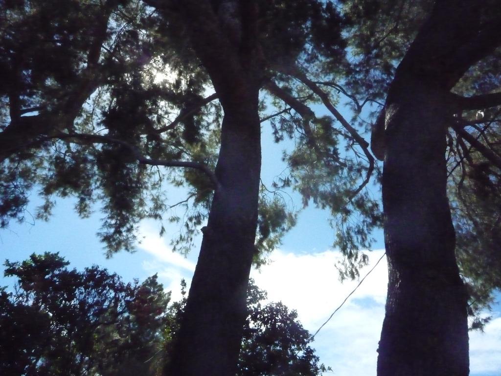 Woodland Hills Calabasas Guesthouses Los Angeles Luaran gambar